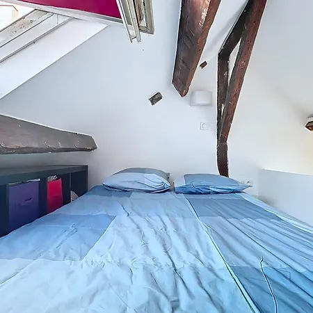 Apartment Charming 2-room In Le Marais